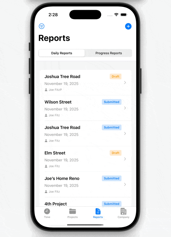 Daily Report Demo